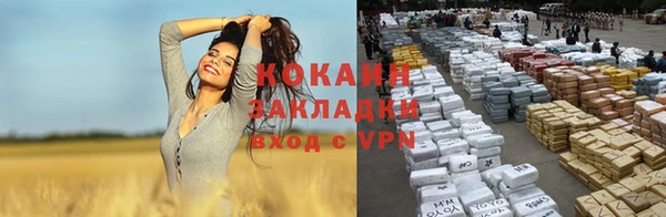 дурь Козловка